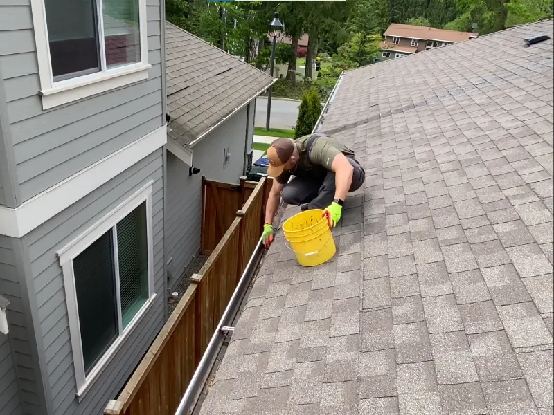 Professional gutter clearing on San Clemente home